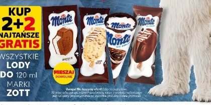 Zott Wszystkie lody do 120 ml marki Zott