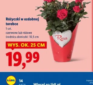 Różyczki w ozdobnej torebce