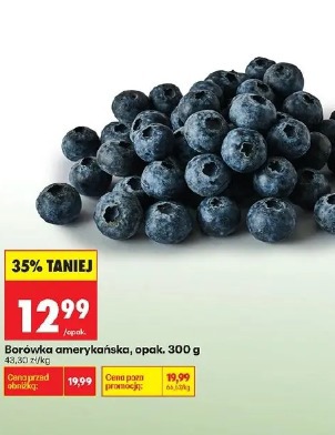 Borówka amerykańska, opak.
