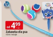 Zabawka dla psa