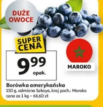 Borówka amerykańska