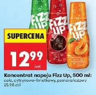 Koncentrat napoju Fizz Up