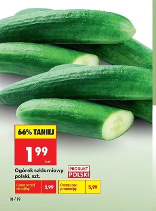 Ogórek szklarniowy polski