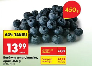 Borówka amerykańska