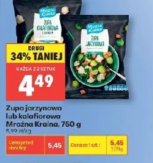 Zupa jarzynowa lub kalafiorowa Mrożna Kraina