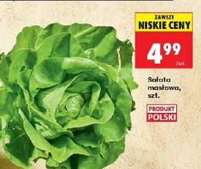 Sałata masłowa