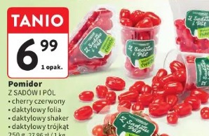 Pomidor z sadów i pól