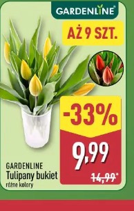 Gardenline Tulipany bukiet