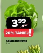 Sałata masłowa