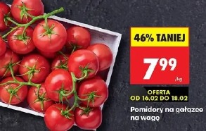 Pomidory na gałązce