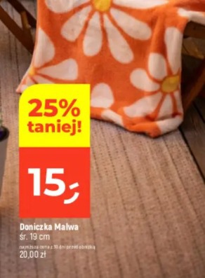 Doniczka Malwa