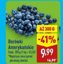 Borówki amerykańskie