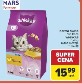 Karma sucha dla kota Whiskas