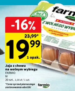 Jaja z chowu na wolnym wybiegu Farmio