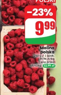 Malina polska
