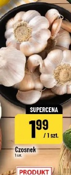Czosnek