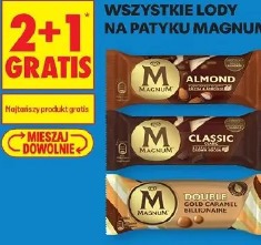 Wszystkie lody na patyku Magnum