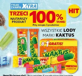 Wszystkie lody marki Kaktus