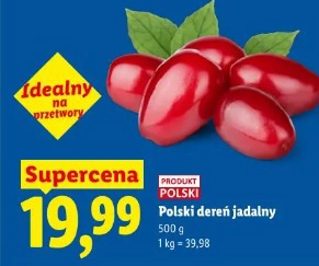 Polski dereń jadalny