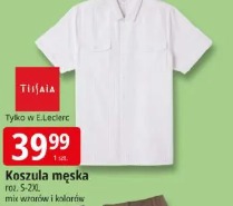 Koszula męska Tilisia