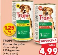 Tropi Karma dla psów