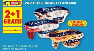 Wszystkie jogurty Fantasia