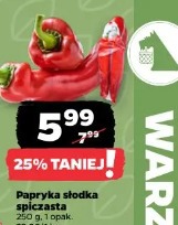 Papryka słodka spiczasta