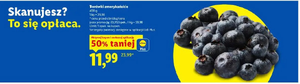 Borówki amerykańskie
