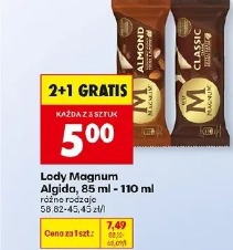 Lody Magnum Algida