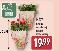 Róże w ozdobnej torebce