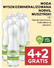 Woda wysokozmineralizowana Norvil Muszyński