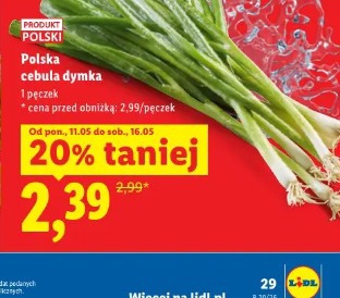 Polska cebula dymka