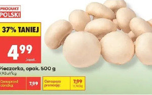 Pieczarka