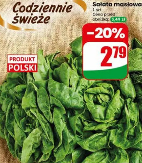 Sałata masłowa