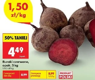 Buraki czerwone