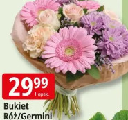 Bukiet Róż/Germini