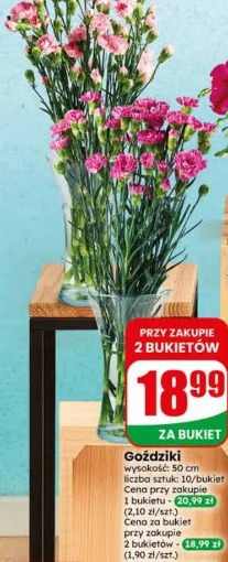 Goździki
