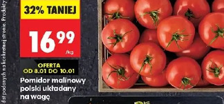 Pomidor malinowy polski