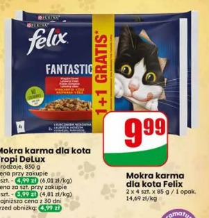 Mokra karma dla kota Felix