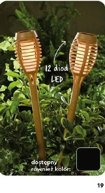 Lampa solarna czosnek ozdobny LED Gardenic