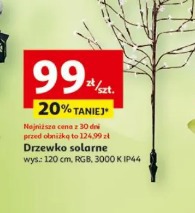 Figurka ogrodowa żaby