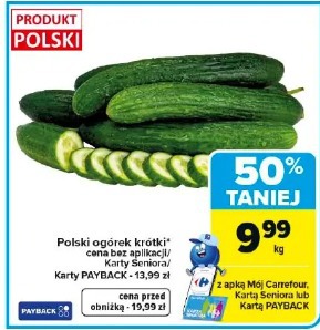 Polski ogórek krótki