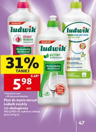Płyn do mycia naczyń Ludwik zwykły lub ekologiczny