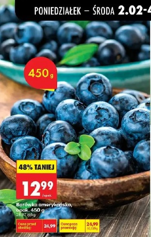 Borówka amerykańska