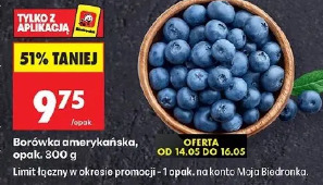 Borówka amerykańska opak.