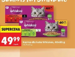 Karma dla kota Whiskas