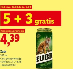 Żubr