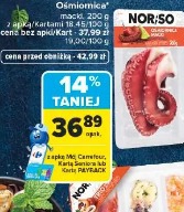 Norso ośmiornica
