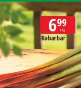 Rabarbar