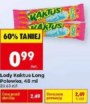 Lody Kaktus Long Polewka